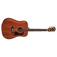 Washburn WD18SW Acoustic Guitar