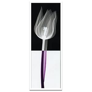 【クリックで詳細表示】《X-Ray(X線)アートフレーム》Stem III(ステム(茎)3) Steven N.Meyers： ホーム＆キッチン