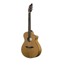 Breedlove Passport N250/CO Guitar