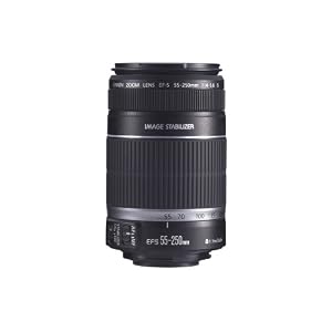 Canon EF-S 55-250mm f/4.0-5.6 IS Telephoto Zoom Lens for Canon Digital SLR Cameras
