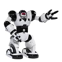 Mini Robosapien