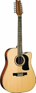 Washburn D10sce 12 N Cutaway Acoustic / Electric 12 String Guitar - Natural