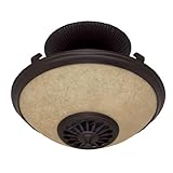 Hunter 21825 Illumni Heat Light, New Bronze