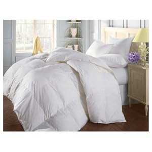 Natural Comfort Soft and Luxurious 300TC Sateen White Down Alternative Duvet Insert