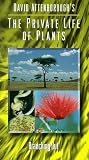 Private Life of Plants 1: Branching Out [VHS]