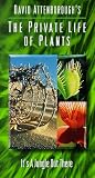 Private Life of Plants 6: Jungle Out There [VHS]