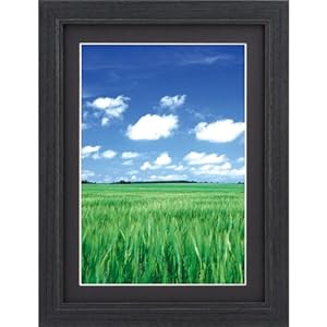 【クリックで詳細表示】HAKUBA 木製額縁 エアーズ2 半切 ブラック FWAY2-BKH