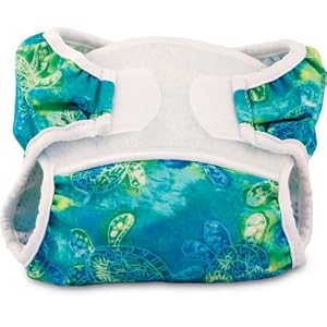 Bummis Swimmi Cloth Diapers